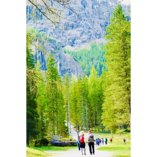 一個人走得快 .一群人走的遠